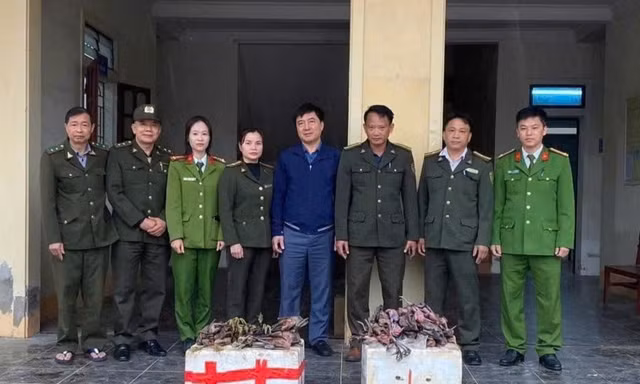 Xử lý hàng loạt vụ săn bắt, buôn bán động vật hoang dã