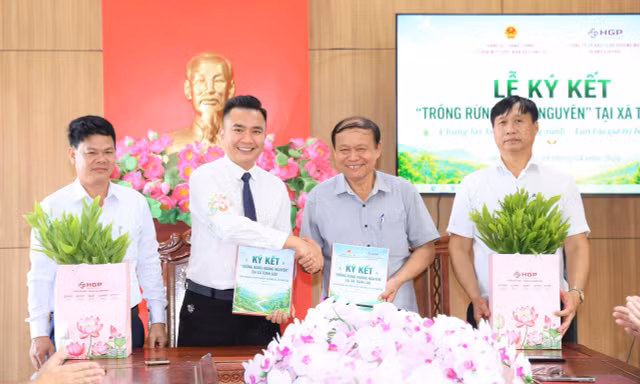 Xây dựng mô hình trồng rừng theo tiêu chuẩn FSC, nâng cao giá trị sản xuất và quản lý rừng bền vững