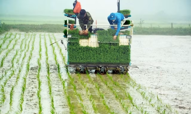 Nghệ An tạo đột phá trong phát triển nông nghiệp sạch, nông nghiệp chất lượng cao