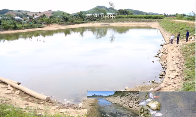 Lấy mẫu nước ở đập thủy lợi xác định nguyên nhân cá chết bất thường 