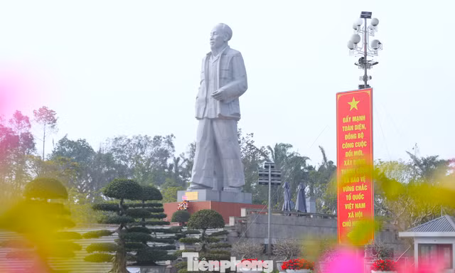 Rực rỡ cờ hoa trên quê hương Bác mừng Đại hội Đảng lần thứ XIV 