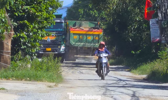 Đề nghị làm rõ tuyến đường 'mưa ngập, nắng bụi', xe tải nối đuôi ở Nghệ An