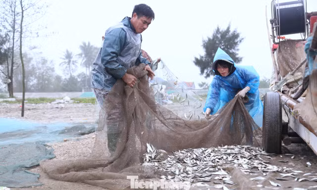 Ngư dân vươn khơi bám biển, kiếm thêm thu nhập dịp nghỉ lễ