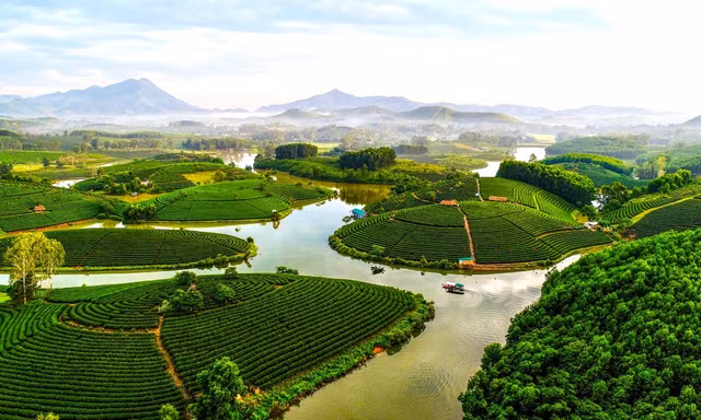 Khai tử dự án du lịch 1.500 tỷ 'bỏ xó' gần 10 năm