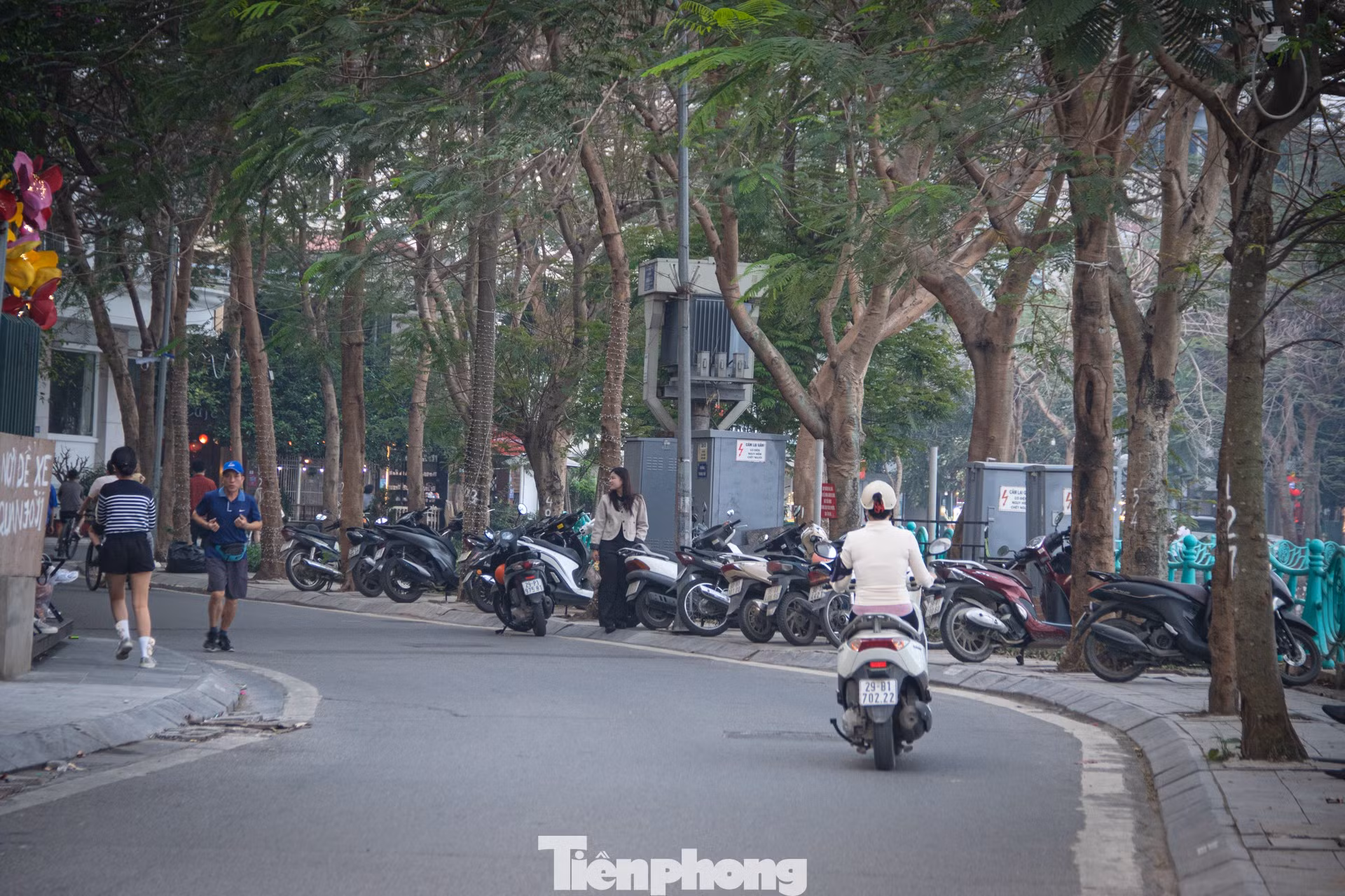 tp-hotay-14.jpg