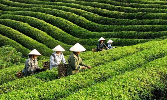 Phát động Giải báo chí Huỳnh Thúc Kháng lần thứ 2