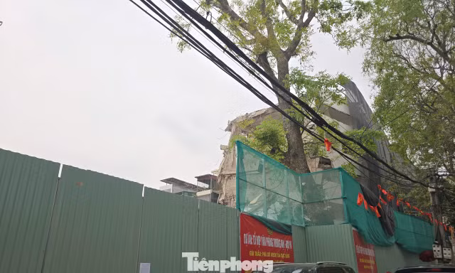Phạt 200 triệu đồng đơn vị gây 'bão bụi' giữa Hà Nội