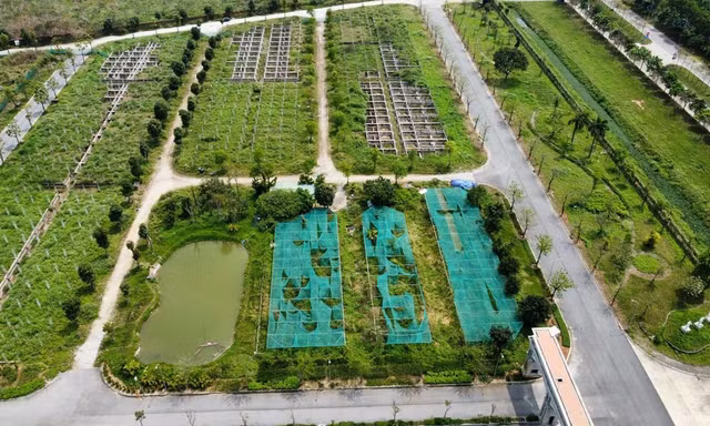 Hà Nội giao hơn 17ha đất để xây nhà liền kề và nhà ở xã hội