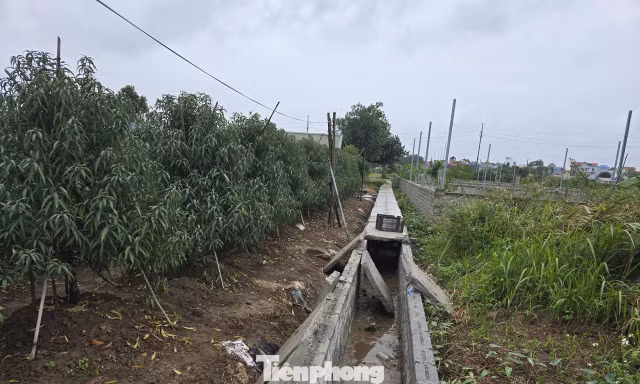 Hà Nội: Đề xuất nhiều lần không được, dân góp tiền, hiến đất làm mương tiêu, vừa xong thì bị yêu cầu đập bỏ 