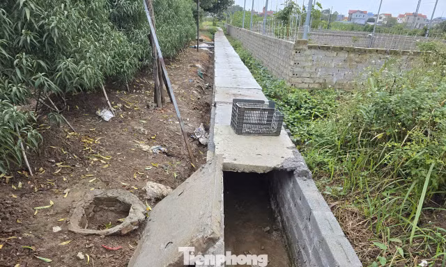 Dân góp tiền làm mương tiêu bị yêu cầu xử lý: Sở NN&MT Hà Nội sẽ làm việc với chính quyền địa phương 