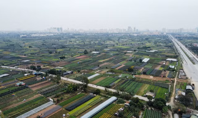 Dự án khu công nghệ cao sinh học hơn 1 tỷ đô được giao đất
