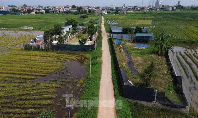 Hà Nội đề xuất tăng giá đất cao nhất 26%: Bảng giá đất mới cần ở mức trung lập