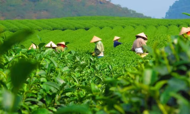 Thái Nguyên đề xuất thu hồi đất để triển khai 32 dự án 