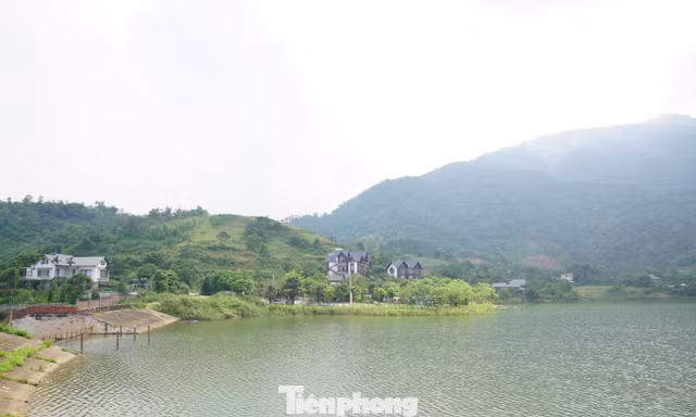 Hà Nội không cho phép 'phạt cho tồn tại' các vi phạm san lấp hồ Đồng Mô, Cố Đụng