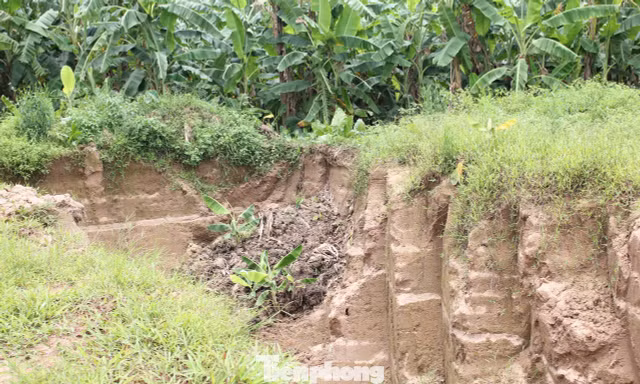 Điều tra vụ múc trộm đất của người dân tại bãi bồi ven sông Hồng