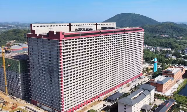Hà Nội nghiên cứu tổ hợp chăn nuôi lợn cao tầng tại 3 xã 