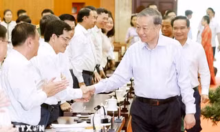  Xây dựng Luật Đô thị đặc biệt cho Thành phố Hồ Chí Minh 