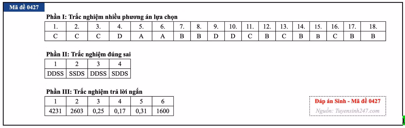 s22.jpg