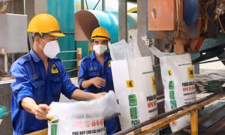 Xuất khẩu phân bón nửa năm đạt gần 1 tỷ USD, cơ hội lập kỷ lục mới