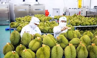 Trung Quốc ra quy định mới về nhập khẩu nông sản, doanh nghiệp Việt cần chú ý