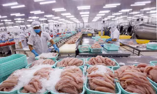 Nghịch lý tiêu chuẩn kép nông sản Việt - kỳ 2: Thủy sản lép vế trên sân nhà