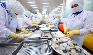 Xuất khẩu thủy sản dự báo cao nhất từ trước đến nay