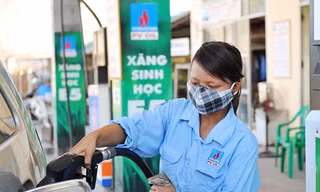 Bán xăng sinh học E10: Đừng như 'đổ rượu mạnh vào chum nước mưa'