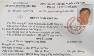 Đề nghị truy tố vắng mặt Chủ tịch HĐQT Công ty cây xanh Công Minh