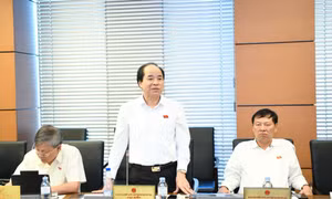Băn khoăn việc xét tuyển, đại biểu Quốc hội dẫn khác biệt ở nước ngoài