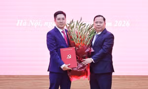 Bổ nhiệm Trợ lý Chủ tịch Ủy ban Trung ương Mặt trận Tổ quốc Việt Nam