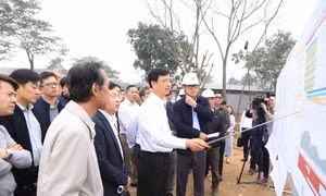 Bí thư Hà Nội lưu ý xử lý nhà 'siêu mỏng, siêu méo'