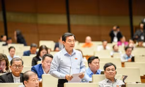 Đại biểu Quốc hội cảnh báo 'các nền tảng xuyên biên giới đang nắm quyền lực thao túng nhận thức xã hội'