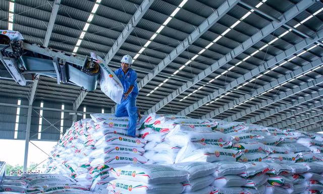 Loạt sáng chế giúp Đạm Cà Mau tiết kiệm hơn 1.500 tỷ đồng, giảm mạnh phát thải CO₂