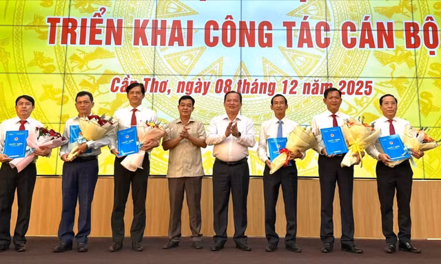 Cần Thơ bổ nhiệm nhiều vị trí chủ chốt