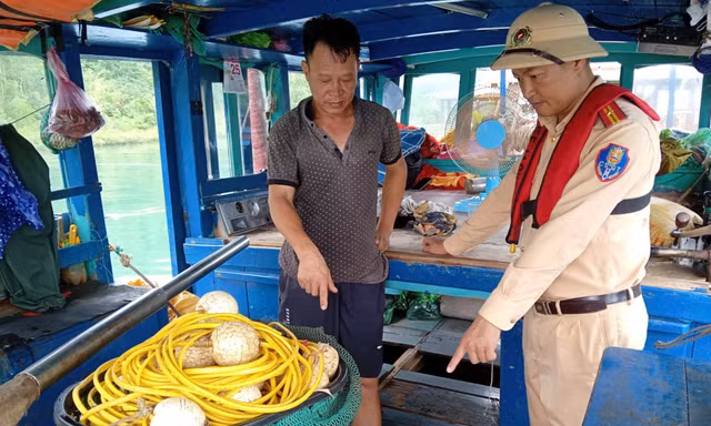 Quảng Ninh truy quét tàu cá khai thác tận diệt mùa sinh sản