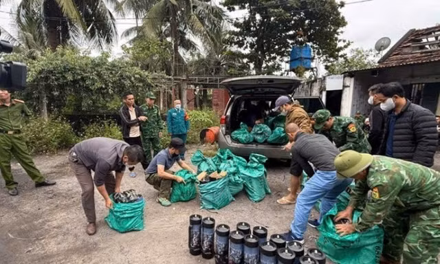 Quảng Ninh bắt giữ vụ vận chuyển khí cười quy mô lớn