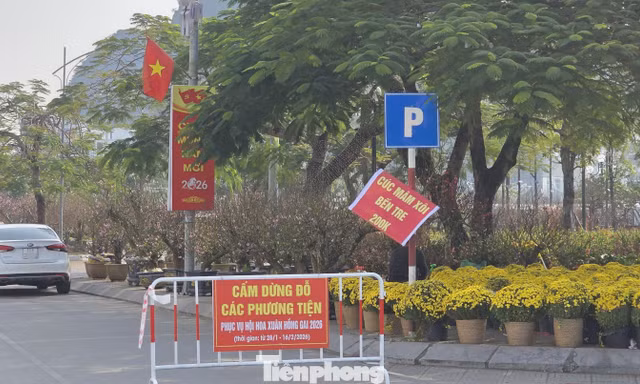 Quảng Ninh: Phường chia lô vỉa hè bán hoa, cấm ô tô để thu phí trái phép