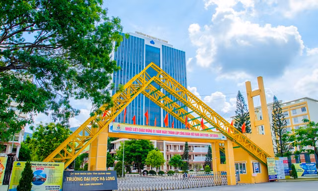 Chi tiết kế hoạch tinh gọn các đơn vị y tế, giáo dục, văn hóa và doanh nghiệp nhà nước tại Quảng Ninh