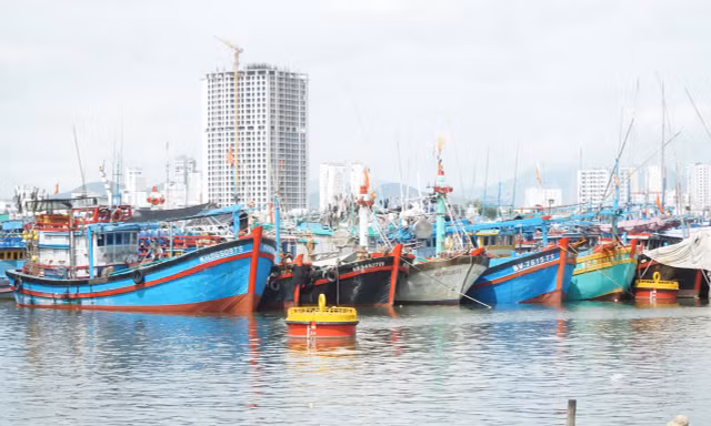 Khánh Hòa cấm biển từ 7 giờ ngày 28/11 để ứng phó bão số 15