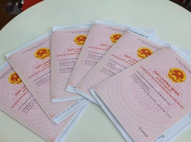 Bình Phước: Hàng lãnh đạo, cán bộ huyện lĩnh án vì cấp 8 'sổ đỏ' trùng cho kẻ lừa đảo