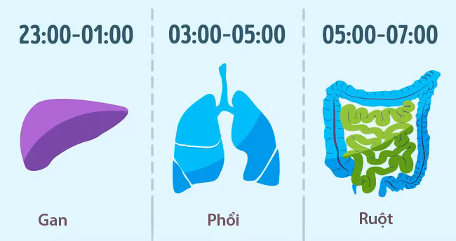 Những thói quen đơn giản giúp bạn sống lâu