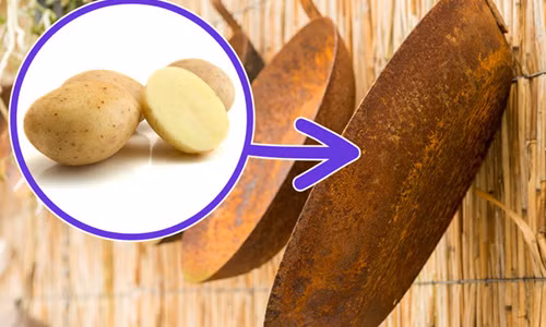 Tác dụng bất ngờ ít ai biết của khoai tây
