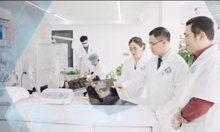 Điểm sàn một số ngành của Trường Đại học Y Dược cao hơn của Bộ GD&ĐT