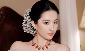 Đạo nhái Lưu Diệc Phi