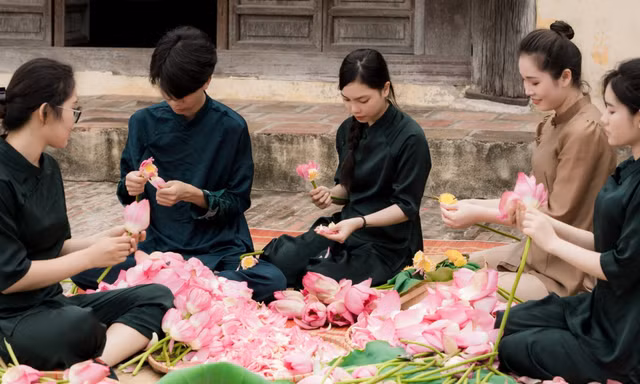 Người Hà Nội thưởng thức sen như thế nào?