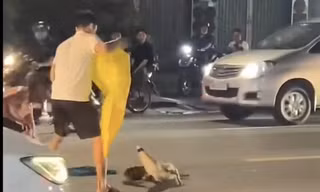[Clip] Thót tim cảnh cá sấu 'dạo chơi' trên đường giữa trung tâm TP.Đồng Nai