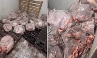 Chặn hơn 500kg thịt bốc mùi chuẩn bị tuồn ra thị trường