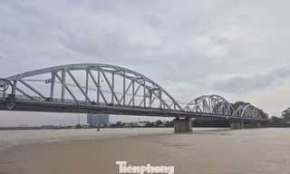 Mưa lớn, nước sông Đồng Nai lên nhanh, vượt mức báo động 2
