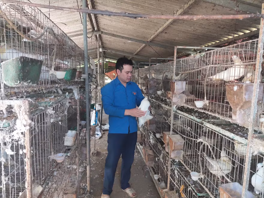 Anh Dũng làm giàu từ trang trại