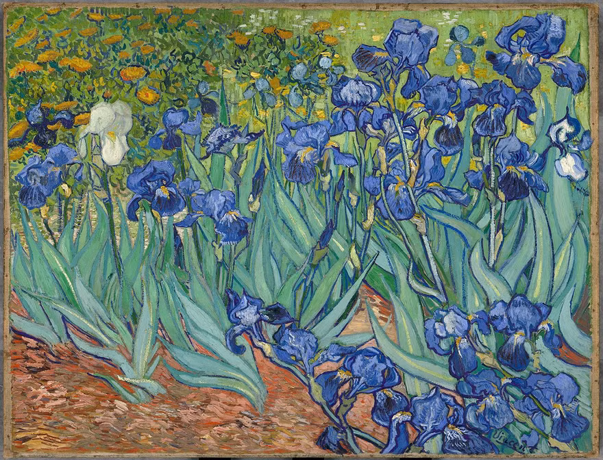 Bức “Hoa diên vỹ” Van Gogh vẽ năm 1889 và được bán năm 1987 với giá 53,9 triệu USD. Ảnh: Bảo tàng J. Paul Getty